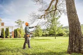 Best Tree Cabling and Bracing  in Guttenberg, NJ