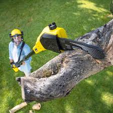Best Lawn Watering Services  in Guttenberg, NJ