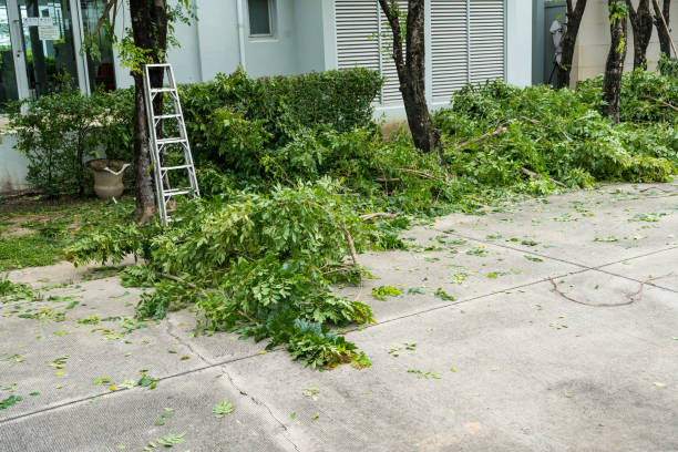 Best Lawn Pest Prevention  in Guttenberg, NJ